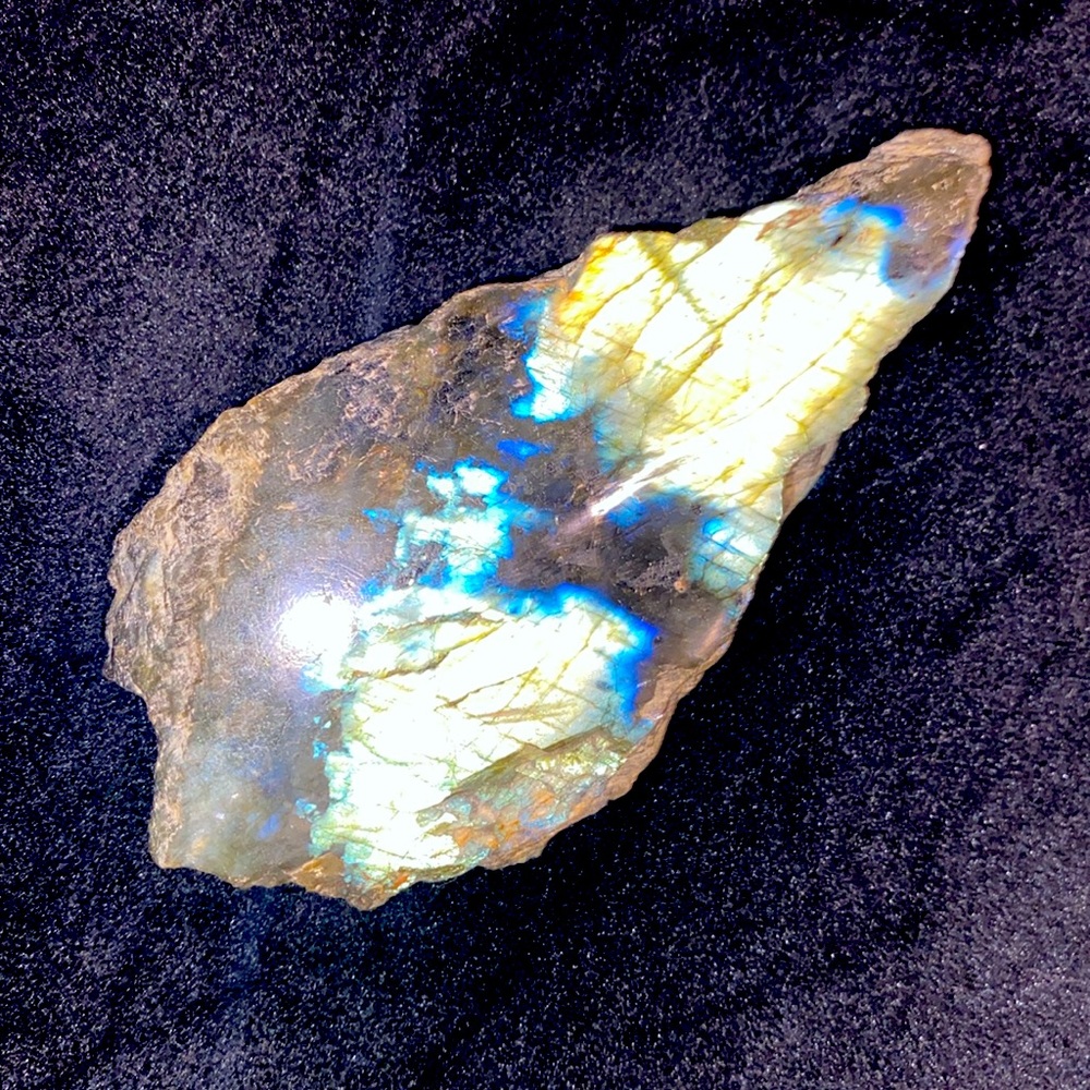 Labrodite 🦋